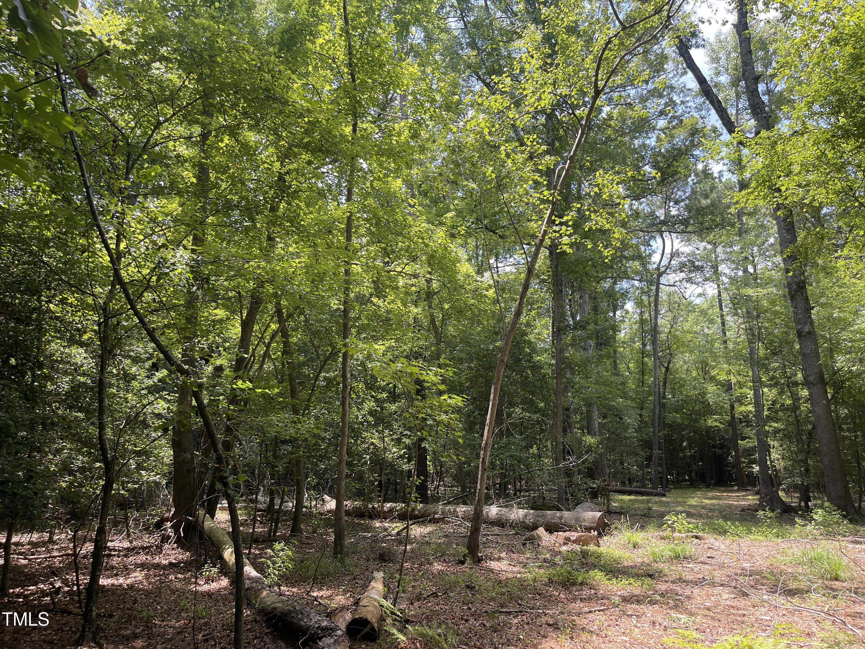 7588 Sadie Road Kenly, NC 27542 - Photo 9 of 58 3