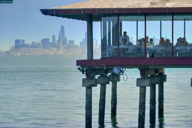 a view of a fountain in the yard with palm trees