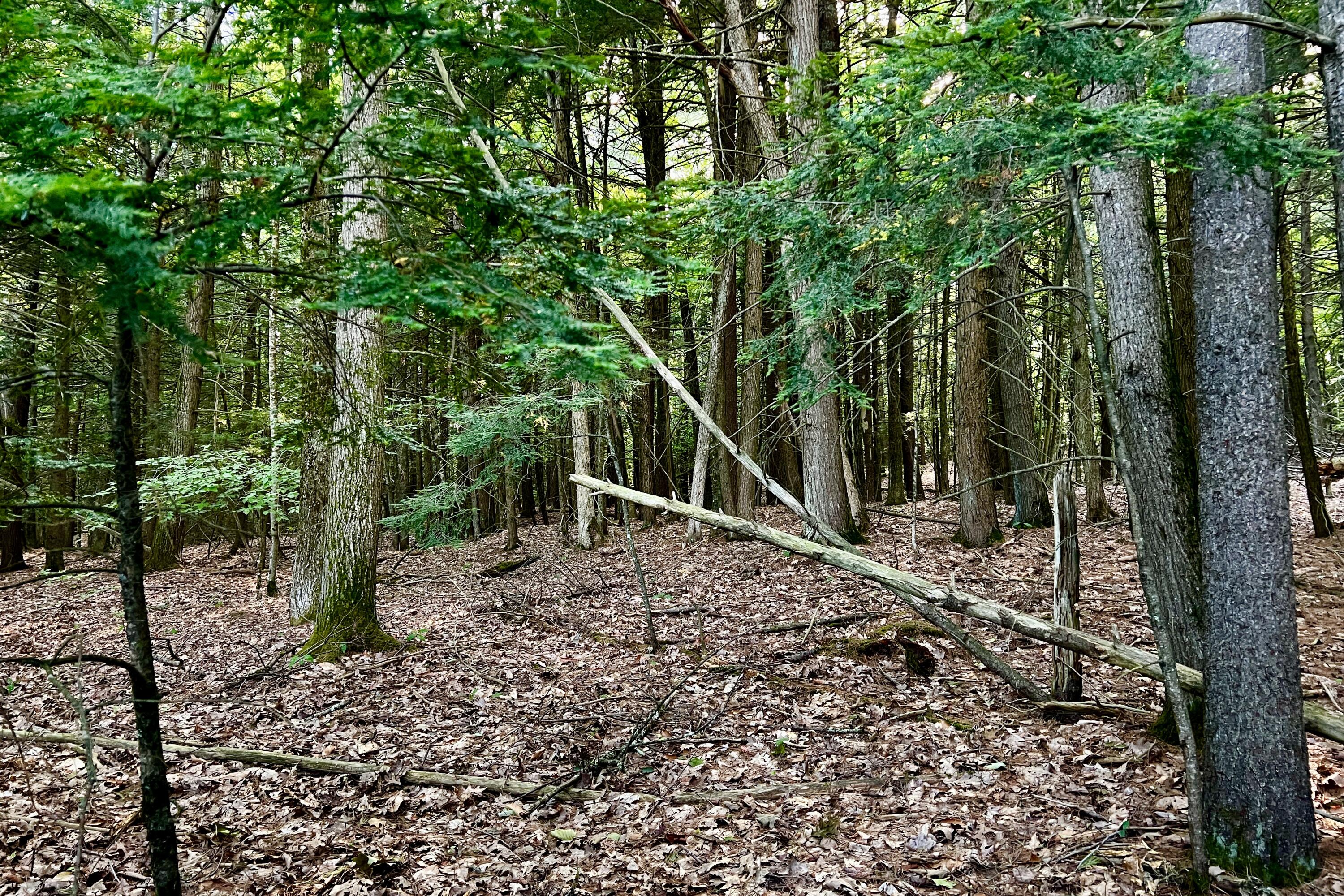 0 Pointer Way, Unit LOT 57 Cumberland Center, ME 04021 - Photo 13 of 14 IMG_9345