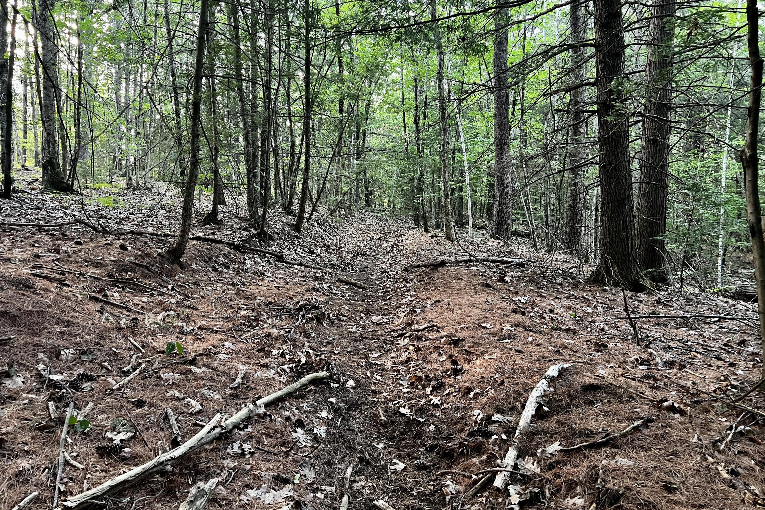 0 Pointer Way, Unit LOT 57 Cumberland Center, ME 04021 - Photo 14 of 14 IMG_9357