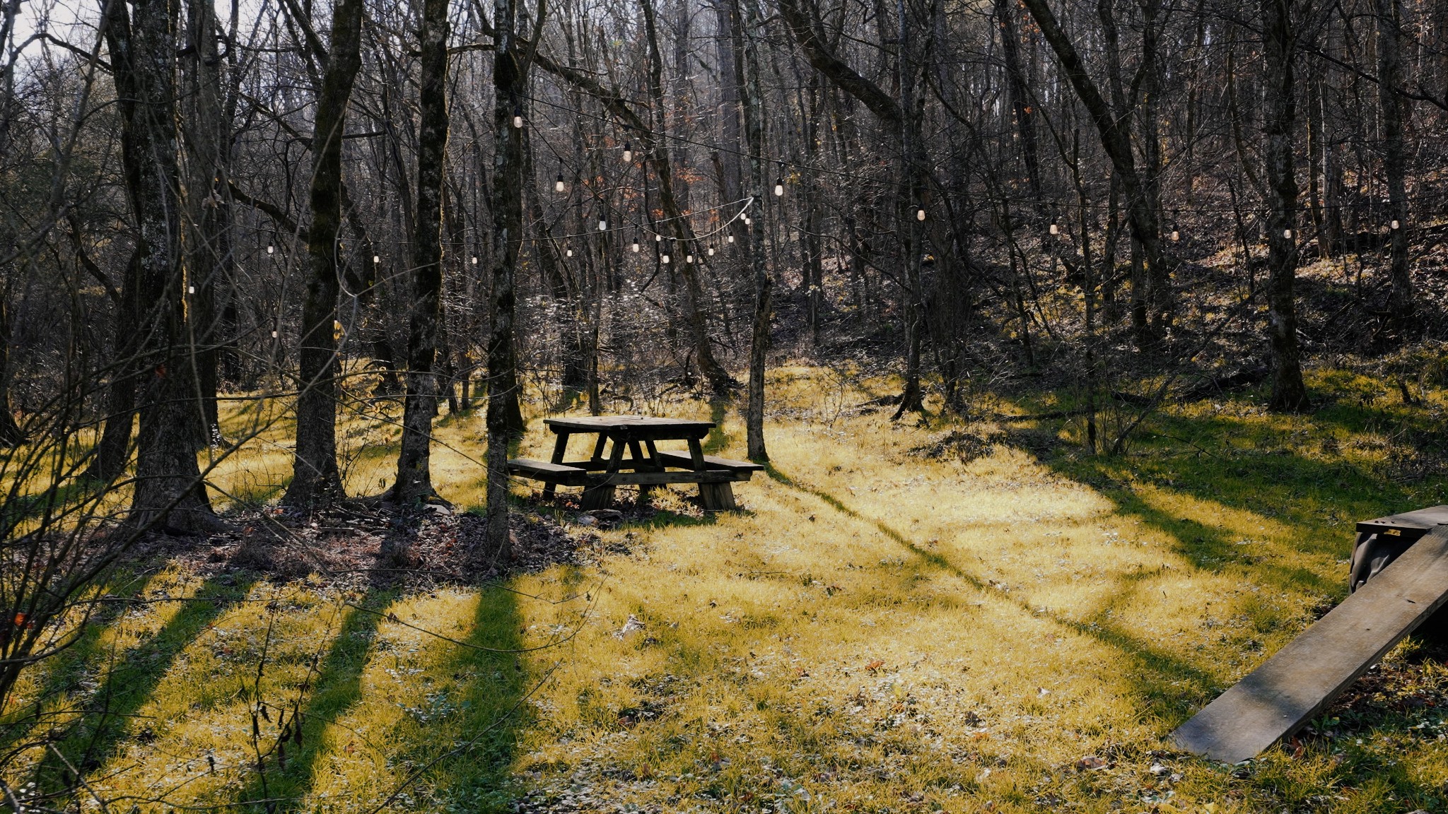 50 Hot Rock Hollow Road Fayetteville, TN 37334 - Photo 25 of 31 a backyard of a house with a yard and outdoor seating