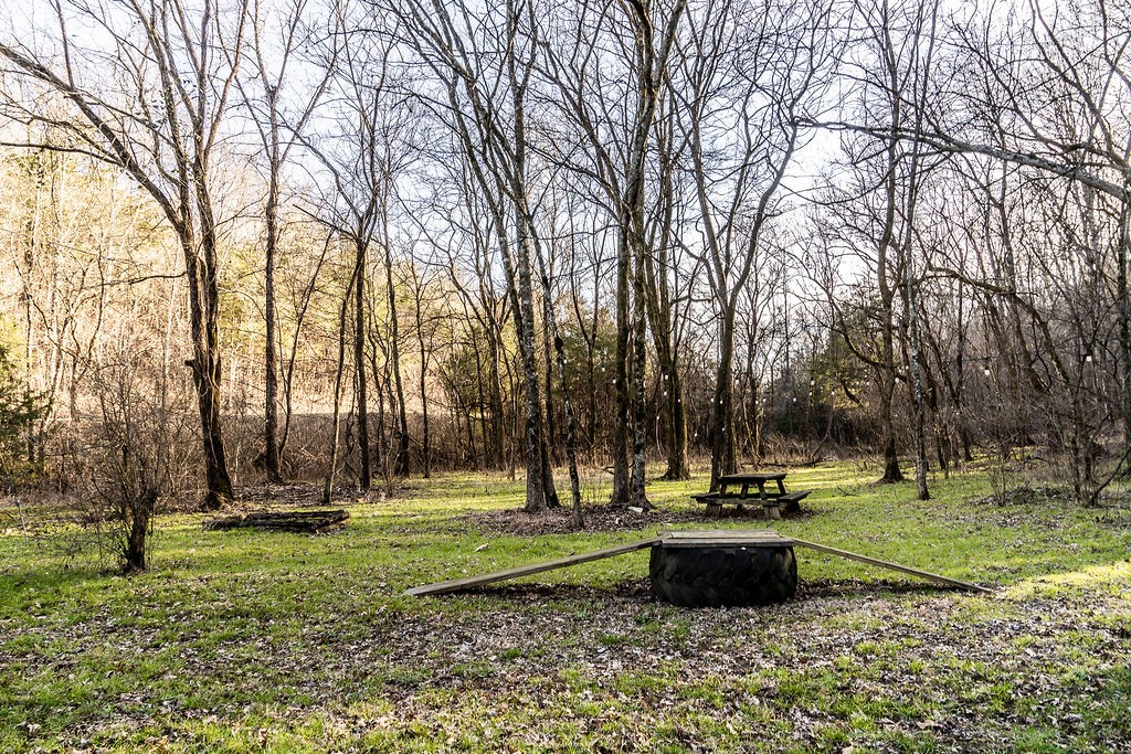 50 Hot Rock Hollow Road Fayetteville, TN 37334 - Photo 26 of 31 a park view with large trees