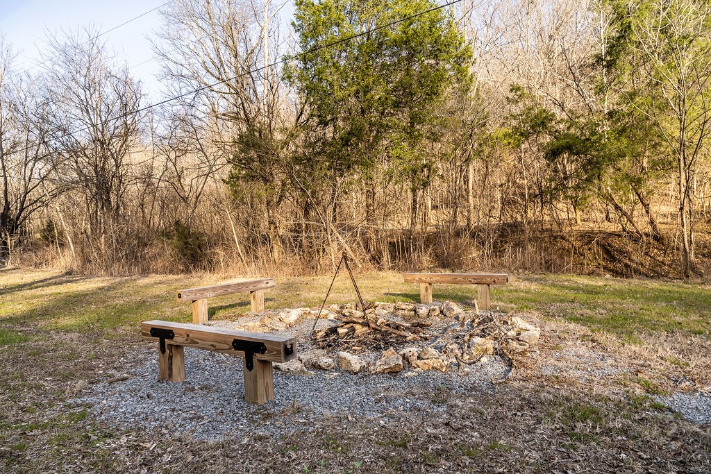 50 Hot Rock Hollow Road Fayetteville, TN 37334 - Photo 27 of 31 a view of a yard with a tree