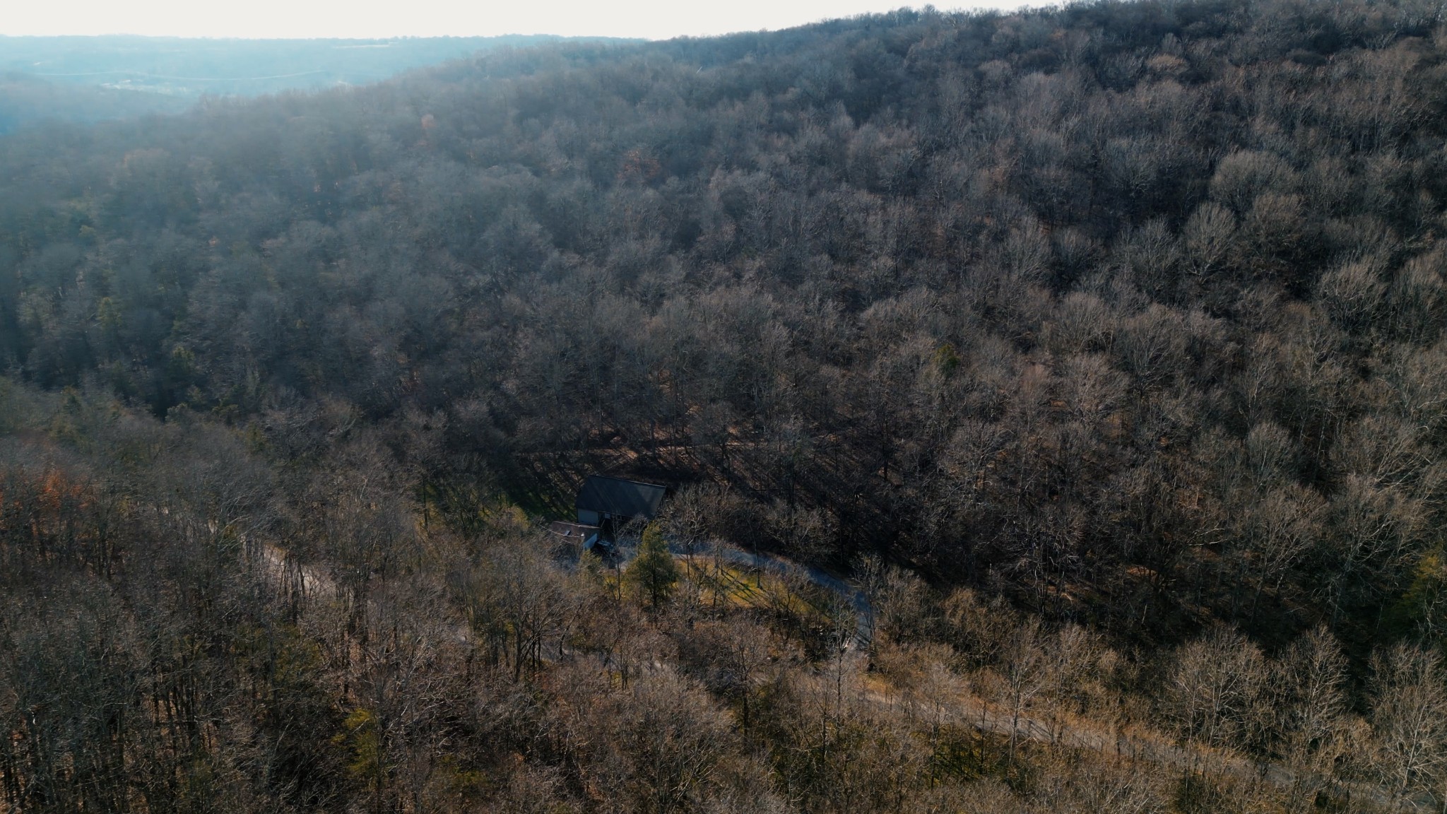 50 Hot Rock Hollow Road Fayetteville, TN 37334 - Photo 30 of 31 a view of a forest in a field