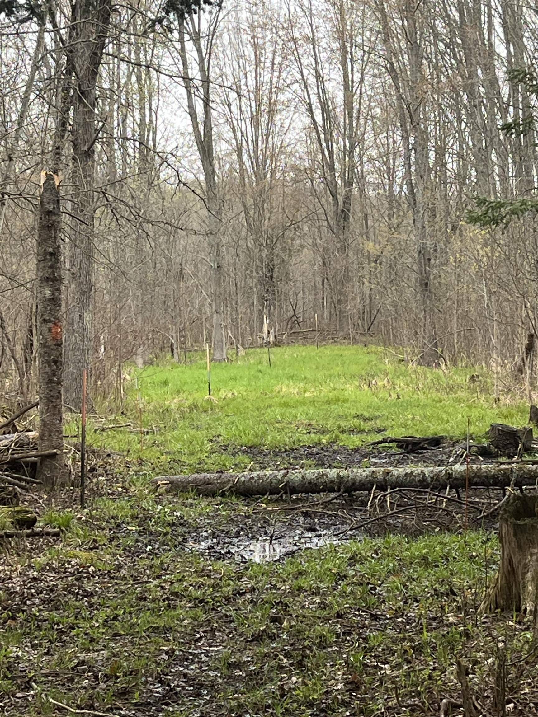 0 Wallen Road Thompsonville, MI 49683 - Photo 11 of 16 1947190-3fb47489-e485-401b-b0e7-01e2a610b8ee.JPG