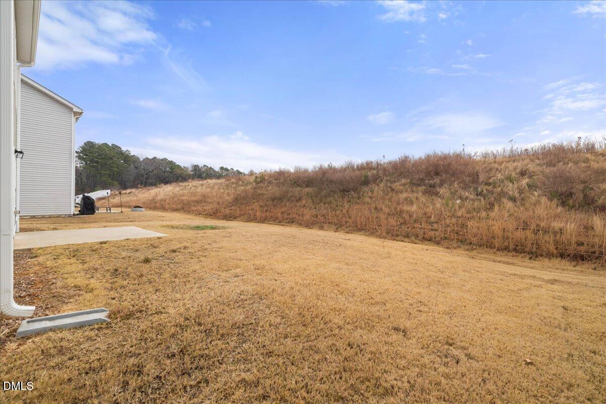 125 Flying Point Lane Clayton, NC 27520 - Photo 45 of 50