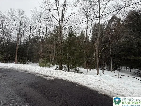 $7,000 | Dryden Drive, Albrightsville, PA 18210