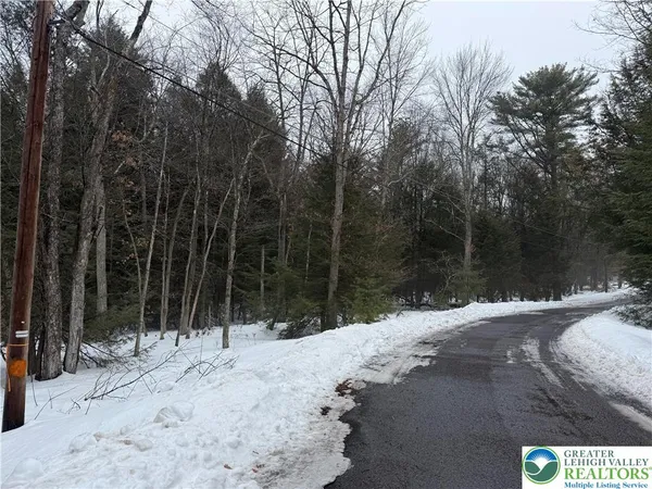 $7,000 | Dryden Drive, Albrightsville, PA 18210