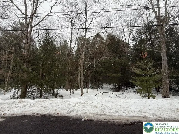 $7,000 | Dryden Drive, Albrightsville, PA 18210