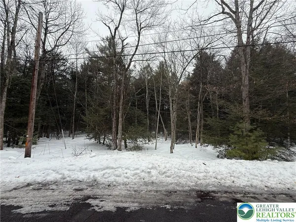 $7,000 | Dryden Drive, Albrightsville, PA 18210