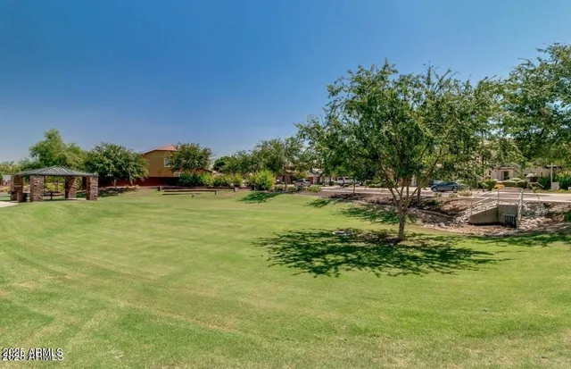 a view of a grassy field with trees