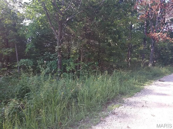 $17,000 | 0 Alpine Road, Grubville, MO 63041