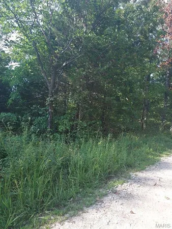 $17,000 | 0 Alpine Road, Grubville, MO 63041