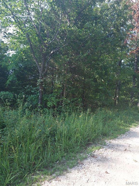0 Alpine Road Grubville, MO 63041 - Photo 2 of 3