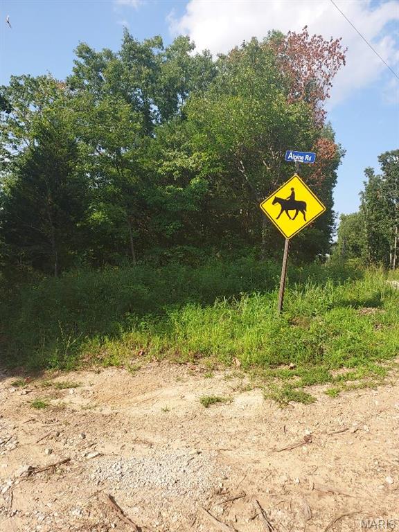 0 Alpine Road Grubville, MO 63041 - Photo 3 of 3