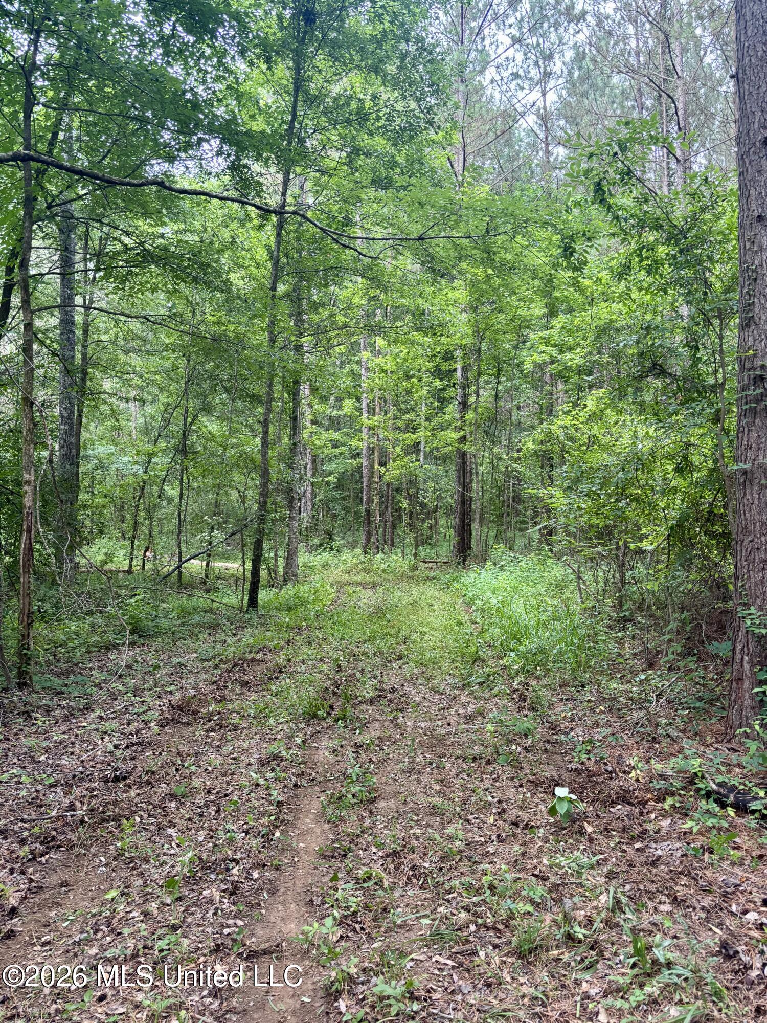 8119 Dry Grove Road Raymond, MS 39154 - Photo 16 of 45 IMG_4732