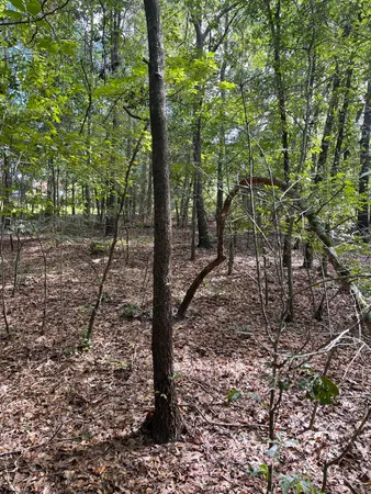 $60,000 | 572 Parkside Drive, Aiken, SC 29803