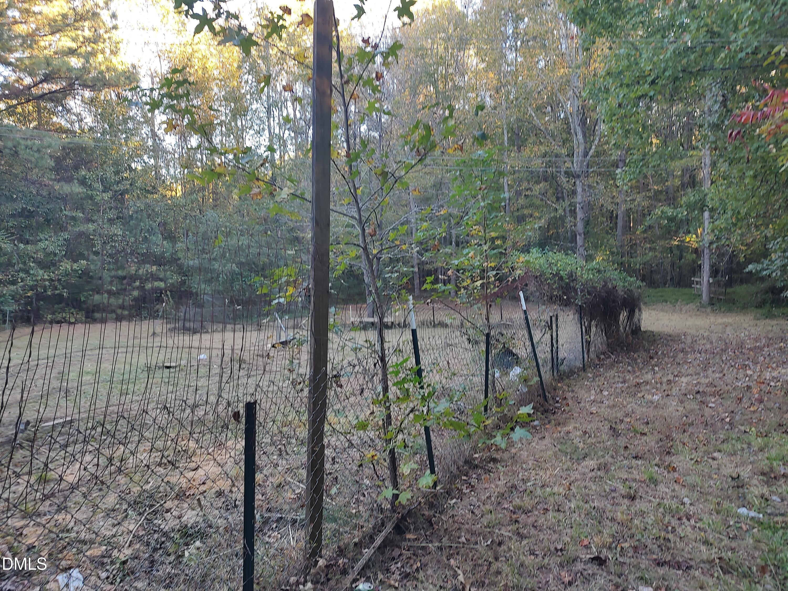 129 Chestnut Drive Warrenton, NC 27589 - Photo 4 of 5 a view of a forest with large trees