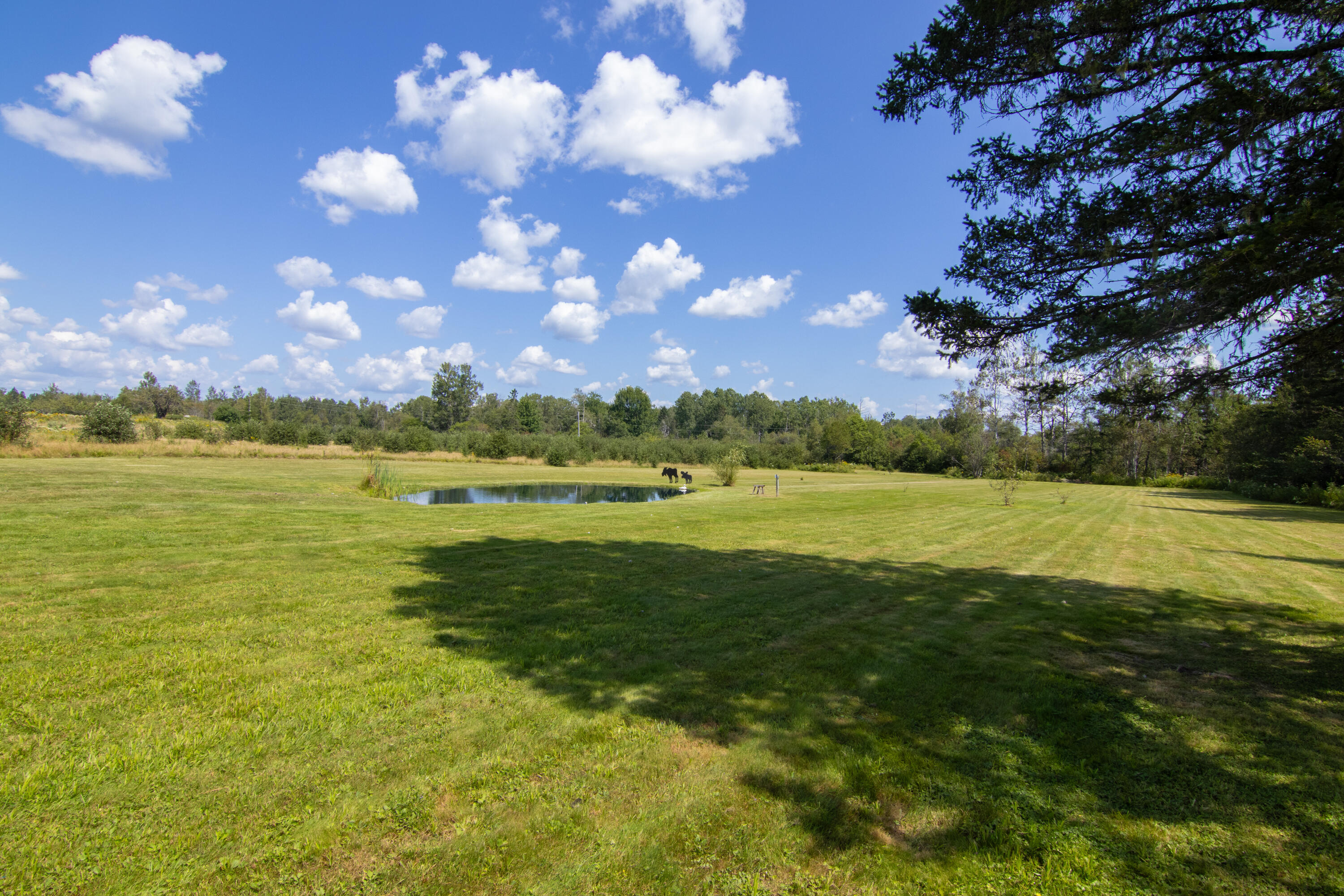 124 Pineo Point Road Harrington, ME 04643 - Photo 57 of 58 124 Wilson District Rd Exterior-9295