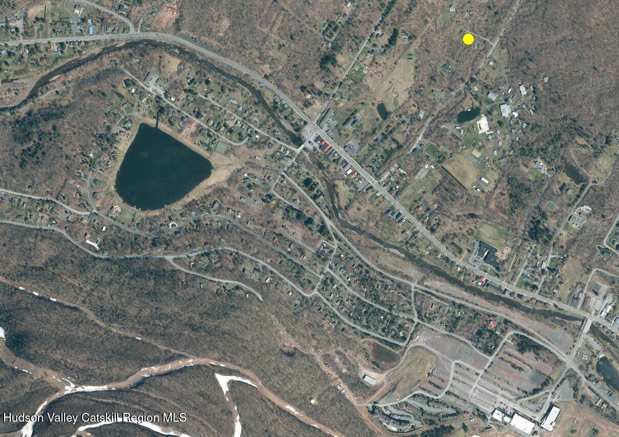 25 Looking Glass Road Hunter, NY 12442 - Photo 45 of 45 GIS 4