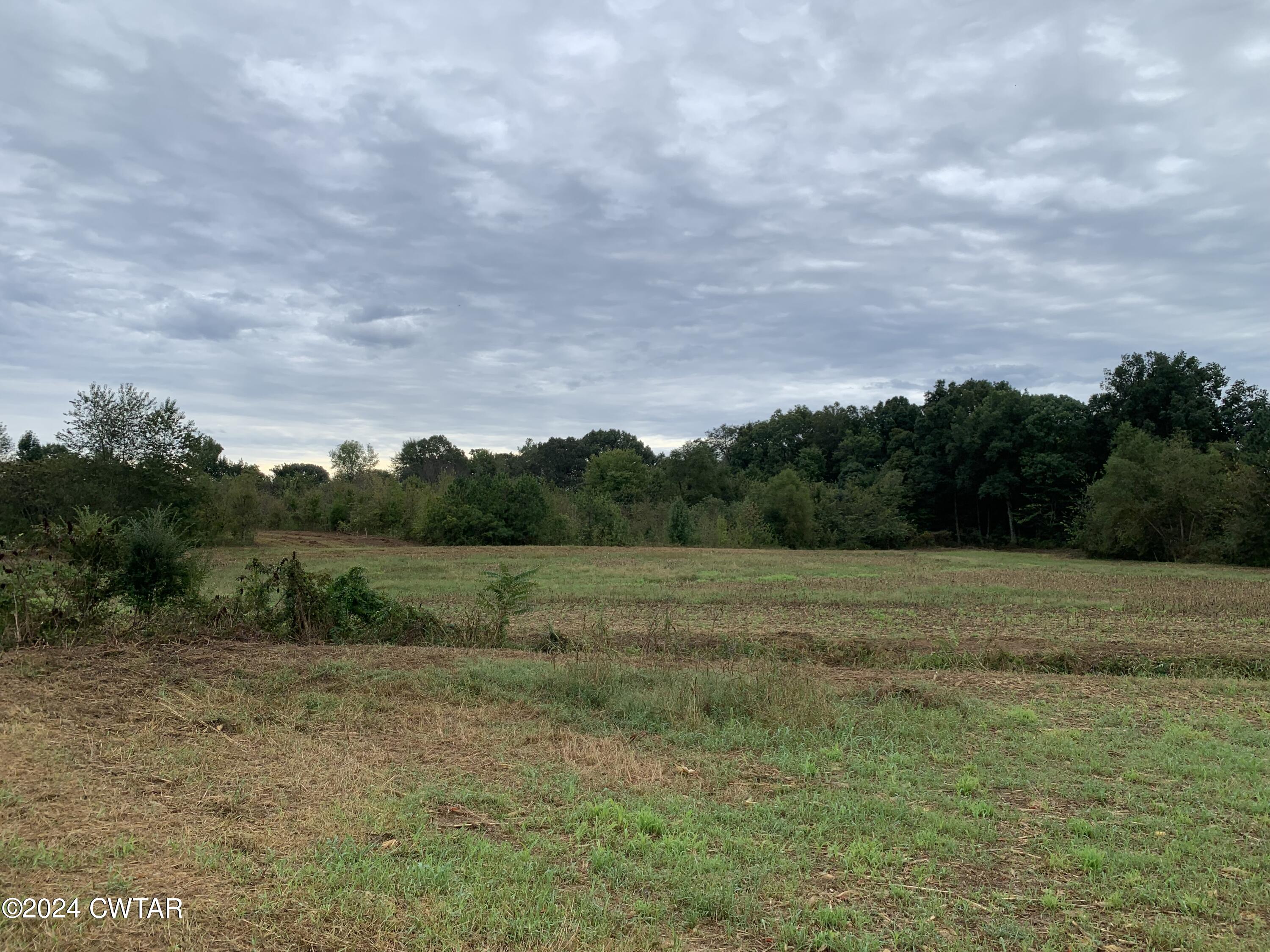 1789 Fruitvale Road Gadsden, TN 38337 - Photo 10 of 24 a view of an outdoor space and a yard