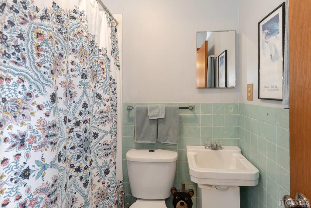 353 Silver Run Road Cashiers, NC 28717 - Photo 15 of 24 Gallery Image 15