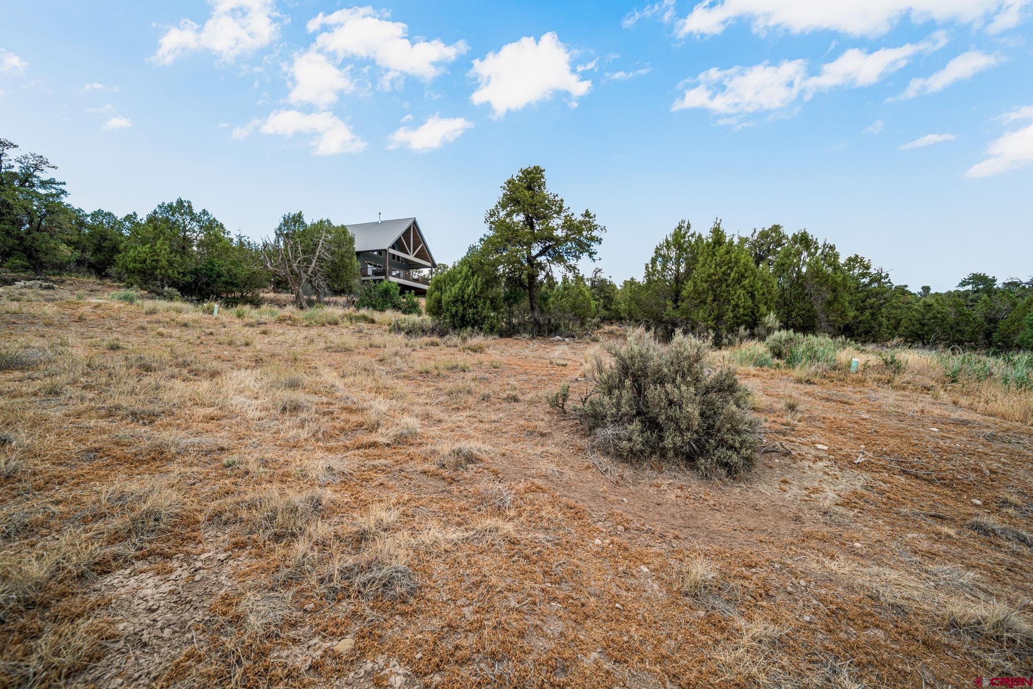 217 Rustic Ridge Road Ignacio, CO 81137 - Photo 3 of 39