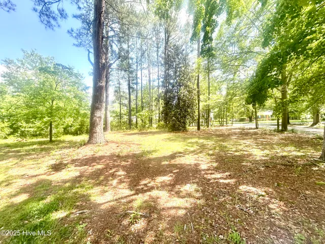 $99,000 | 736 Richmond Street, Laurinburg, NC 28352