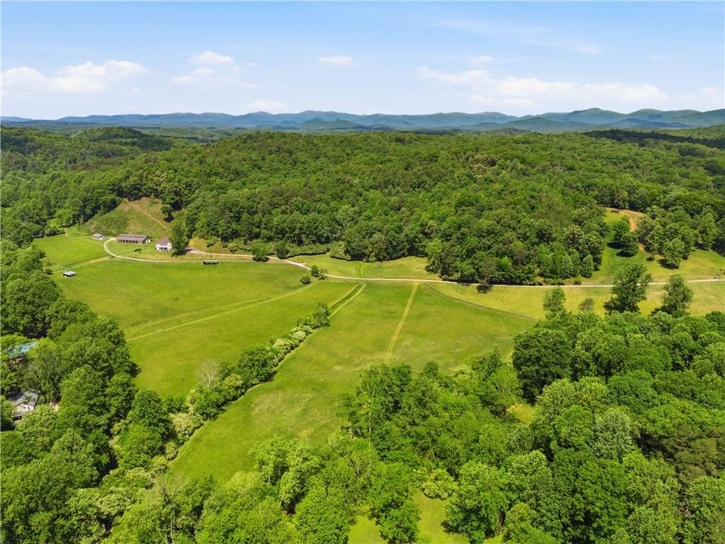 619 Hamp Mill Road Dahlonega, GA 30533 - Photo 95 of 118