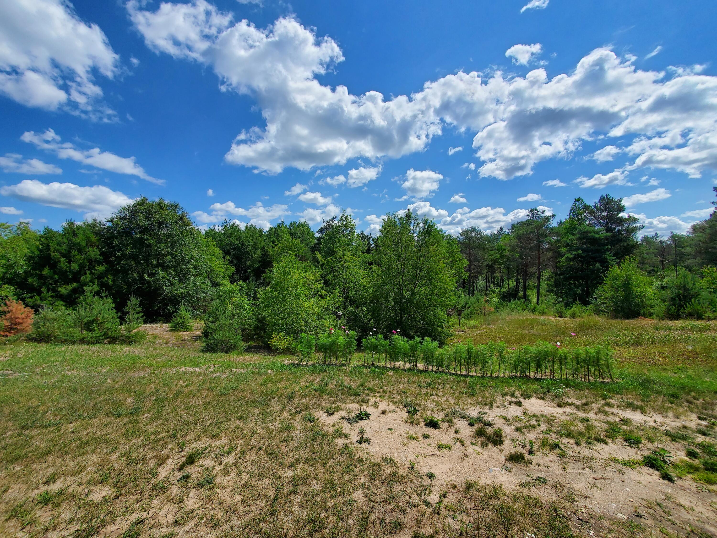 6246 North Lanning Road Manton, MI 49663 - Photo 44 of 83 20220714_114138