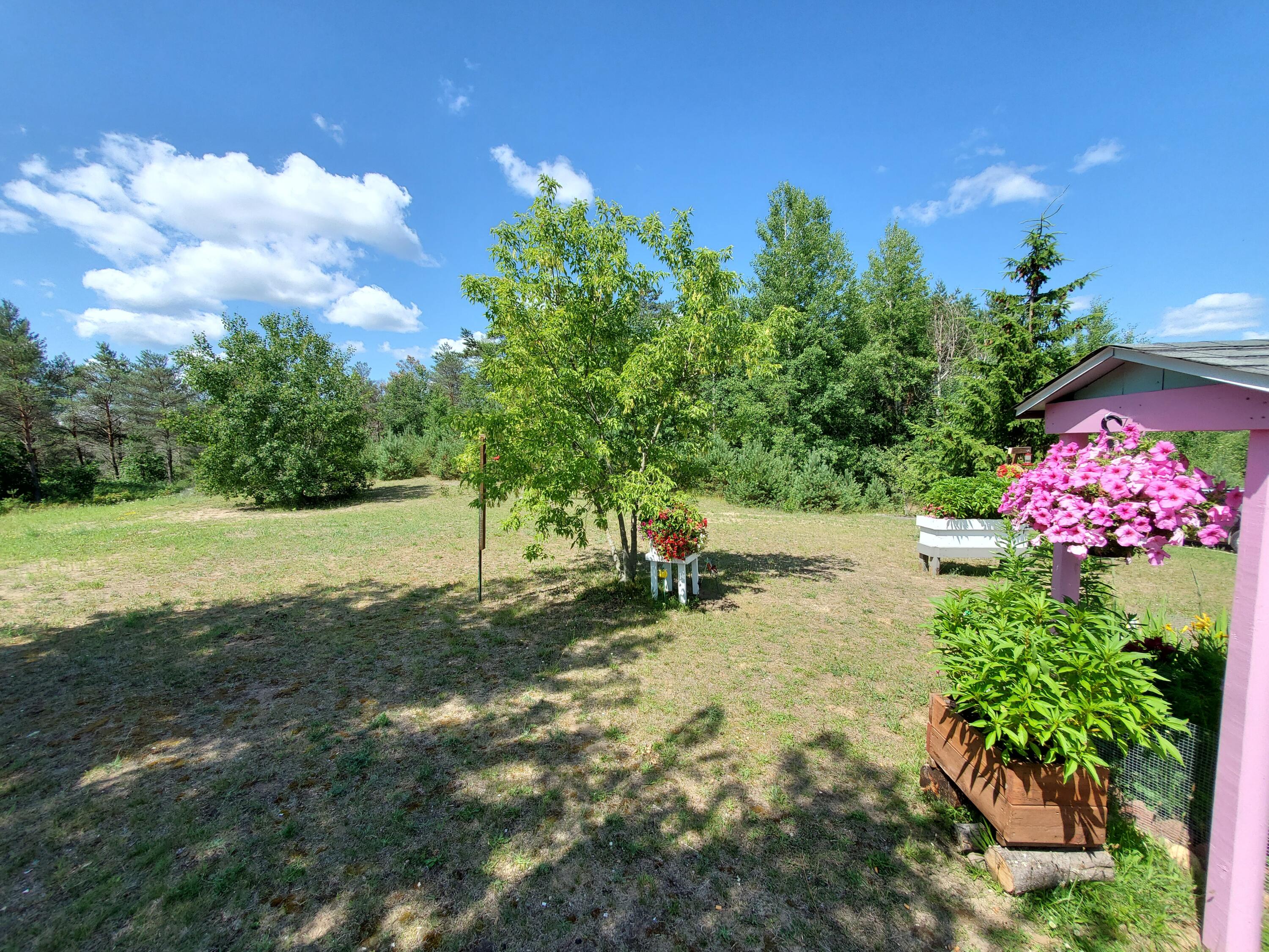 6246 North Lanning Road Manton, MI 49663 - Photo 66 of 83 20220714_115513