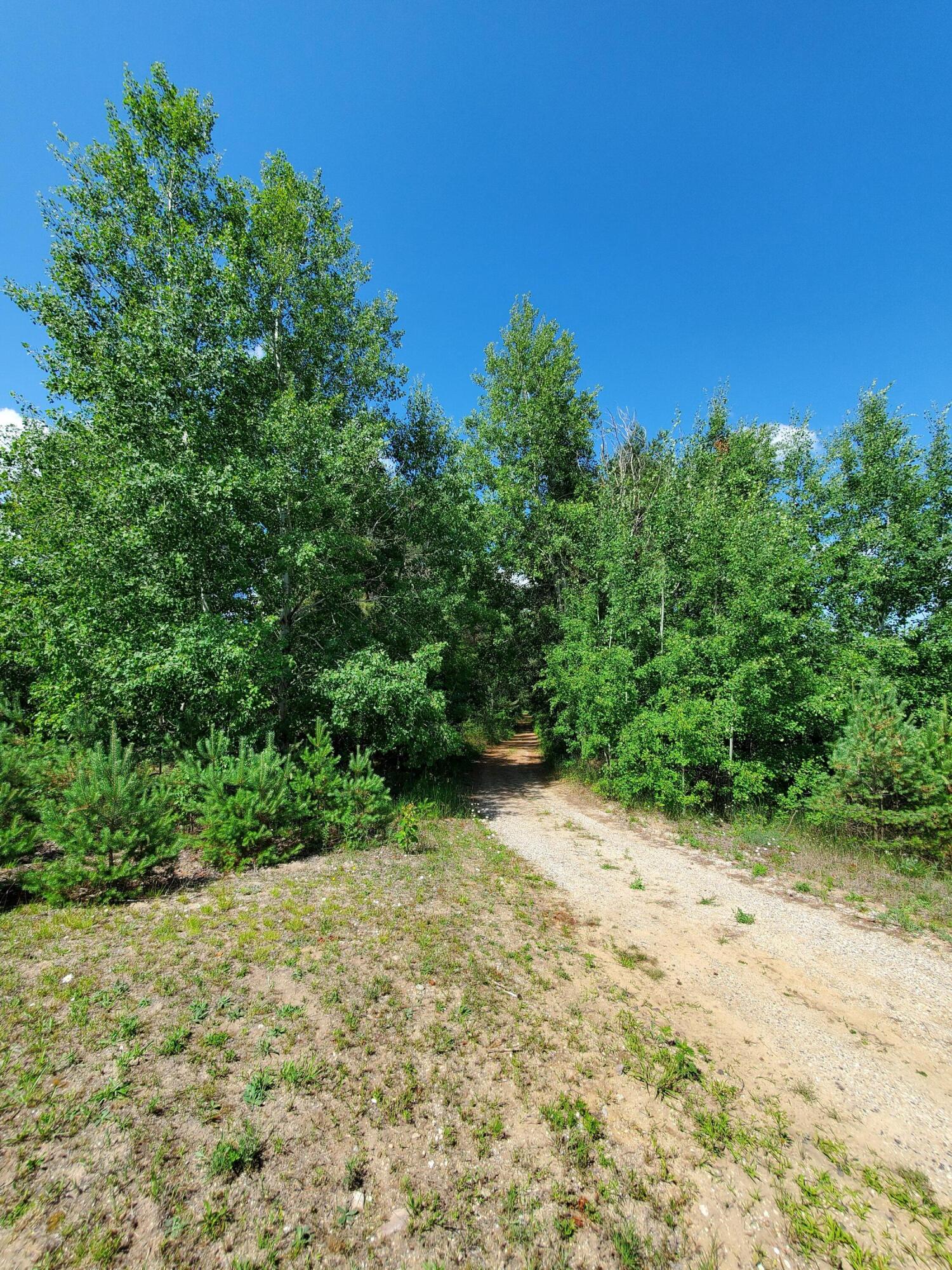 6246 North Lanning Road Manton, MI 49663 - Photo 67 of 83 20220714_115627