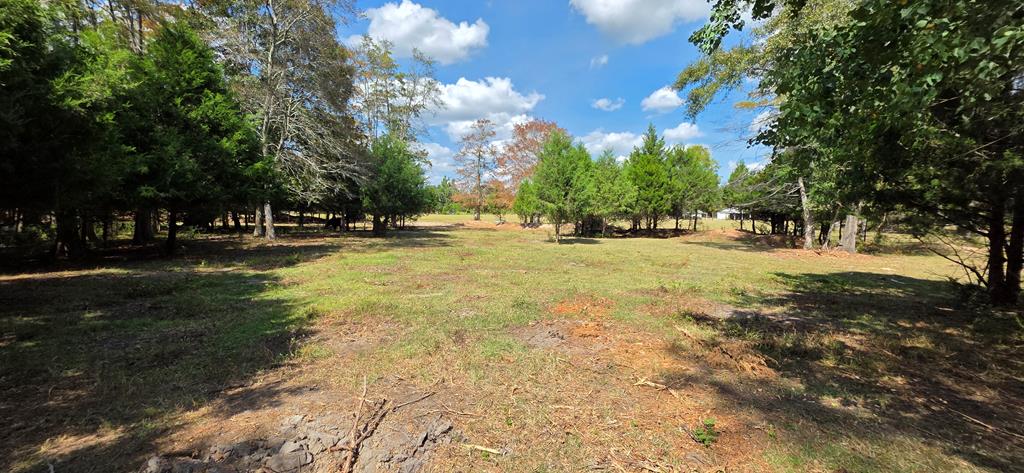 12.7-acres Nobles Road Dothan, AL 36301 - Photo 25 of 41