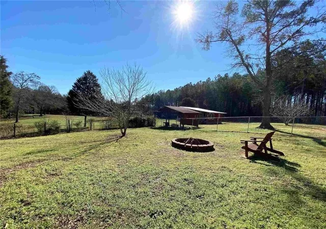 a view of a backyard with plants and trees