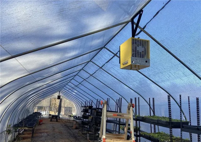 a view of a yard with plants