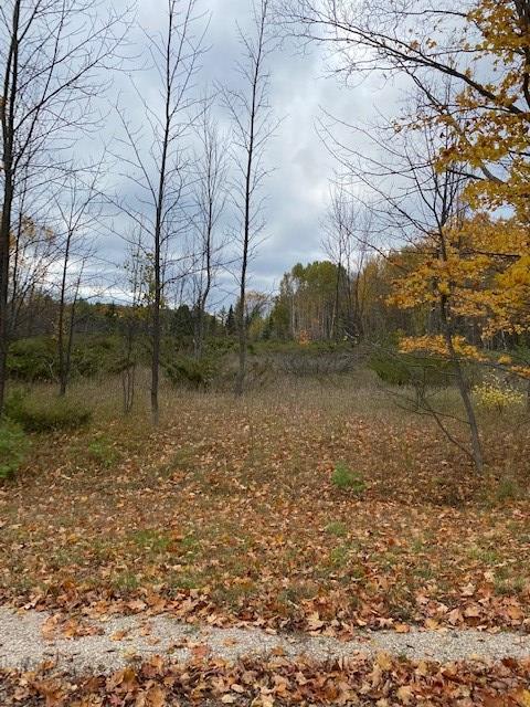 Tbd Highview Road Sister Bay, WI 54234 - Photo 2 of 3