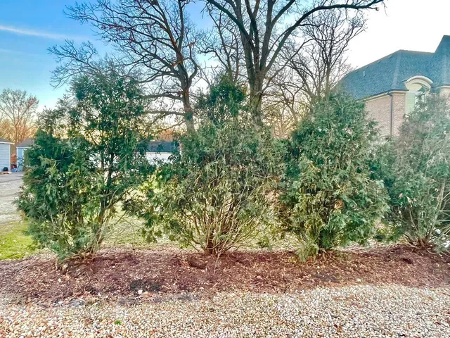 $73,500 | 17-w231 Red Oak Street, Addison, IL 60101