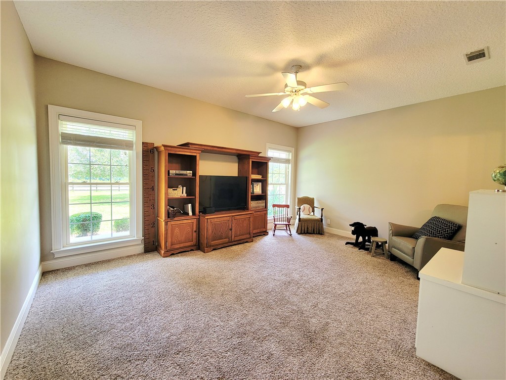 2171 Ware Street Blackshear, GA 31516 - Photo 23 of 69