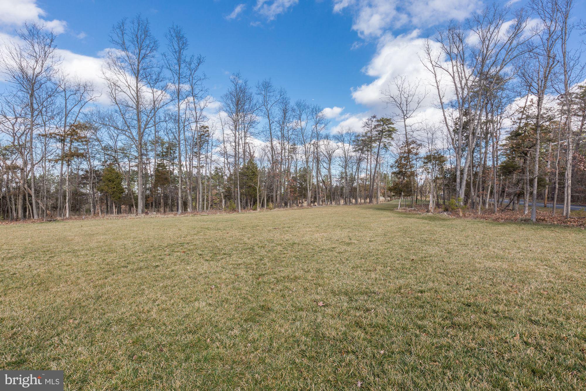 7300 Bull Run Post Office Road Centreville, VA 20121 - Photo 42 of 50 Beautiful back yard