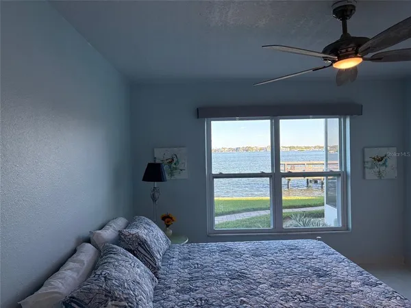 a view of a window and a tree in a window