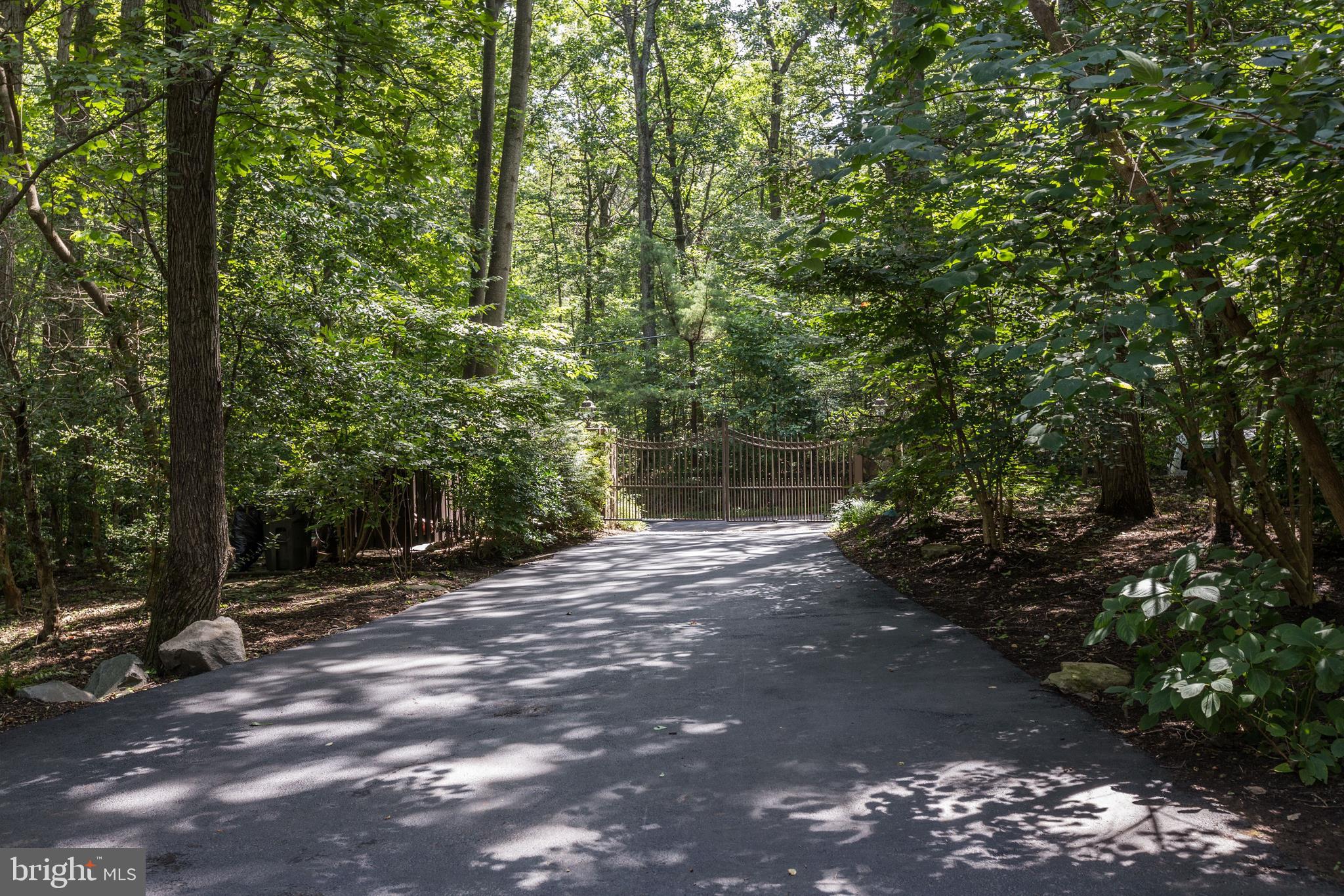 724 Clear Spring Road Great Falls, VA 22066 - Photo 3 of 57 Drive along the gracious driveway