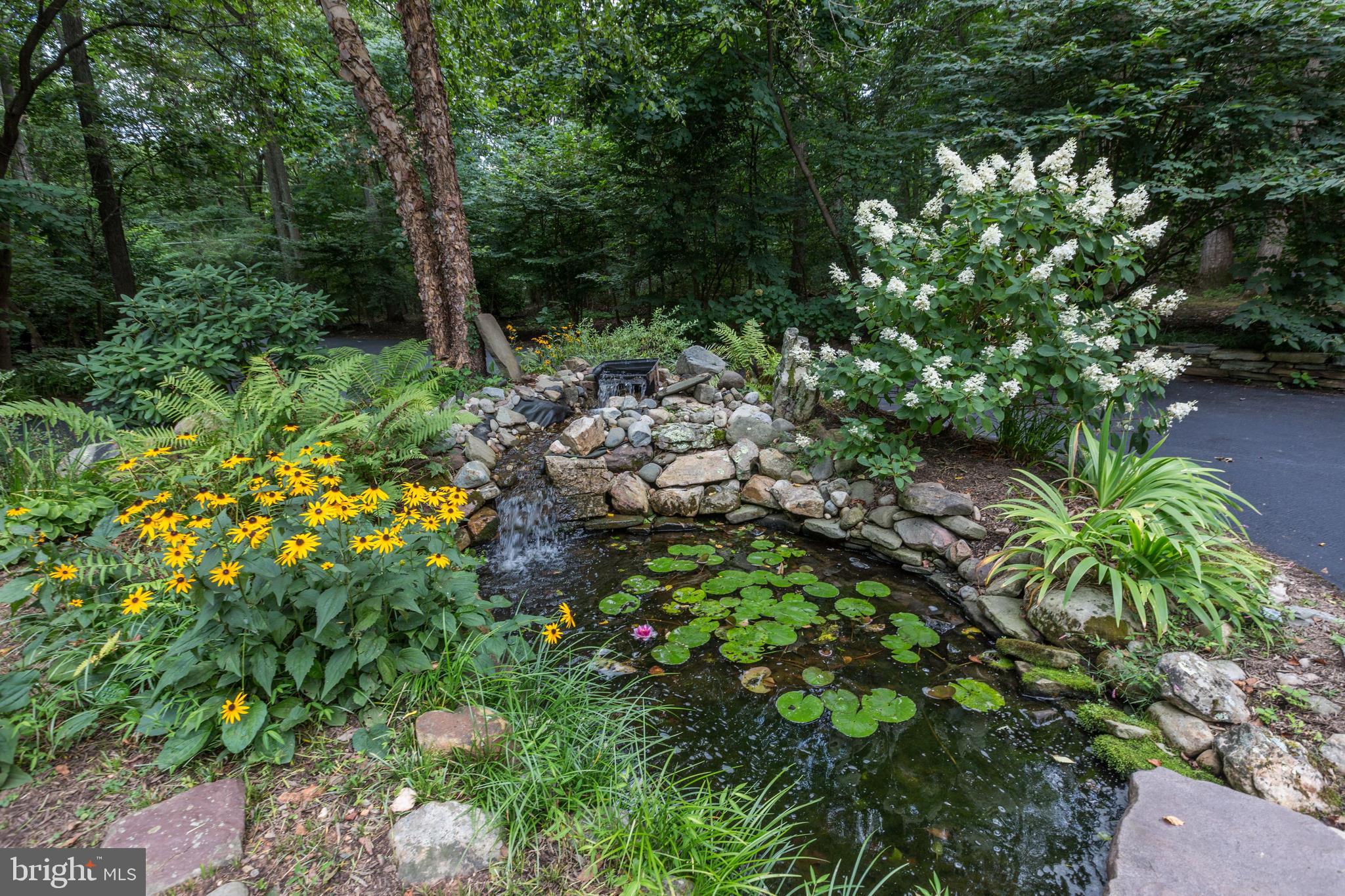 724 Clear Spring Road Great Falls, VA 22066 - Photo 4 of 57 A calming lily pond with waterfall welcomes you