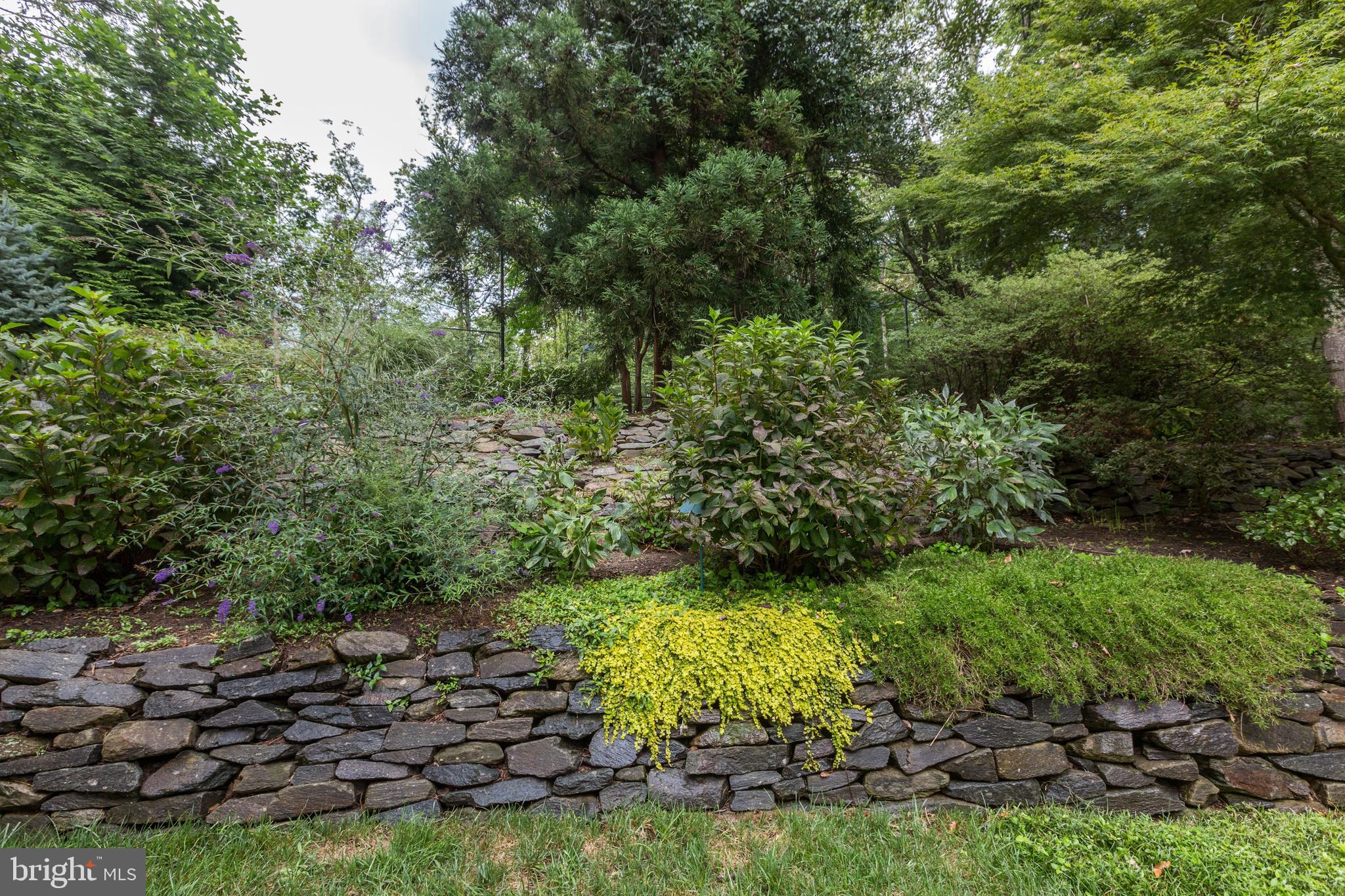 724 Clear Spring Road Great Falls, VA 22066 - Photo 50 of 57 Gallery Image 50