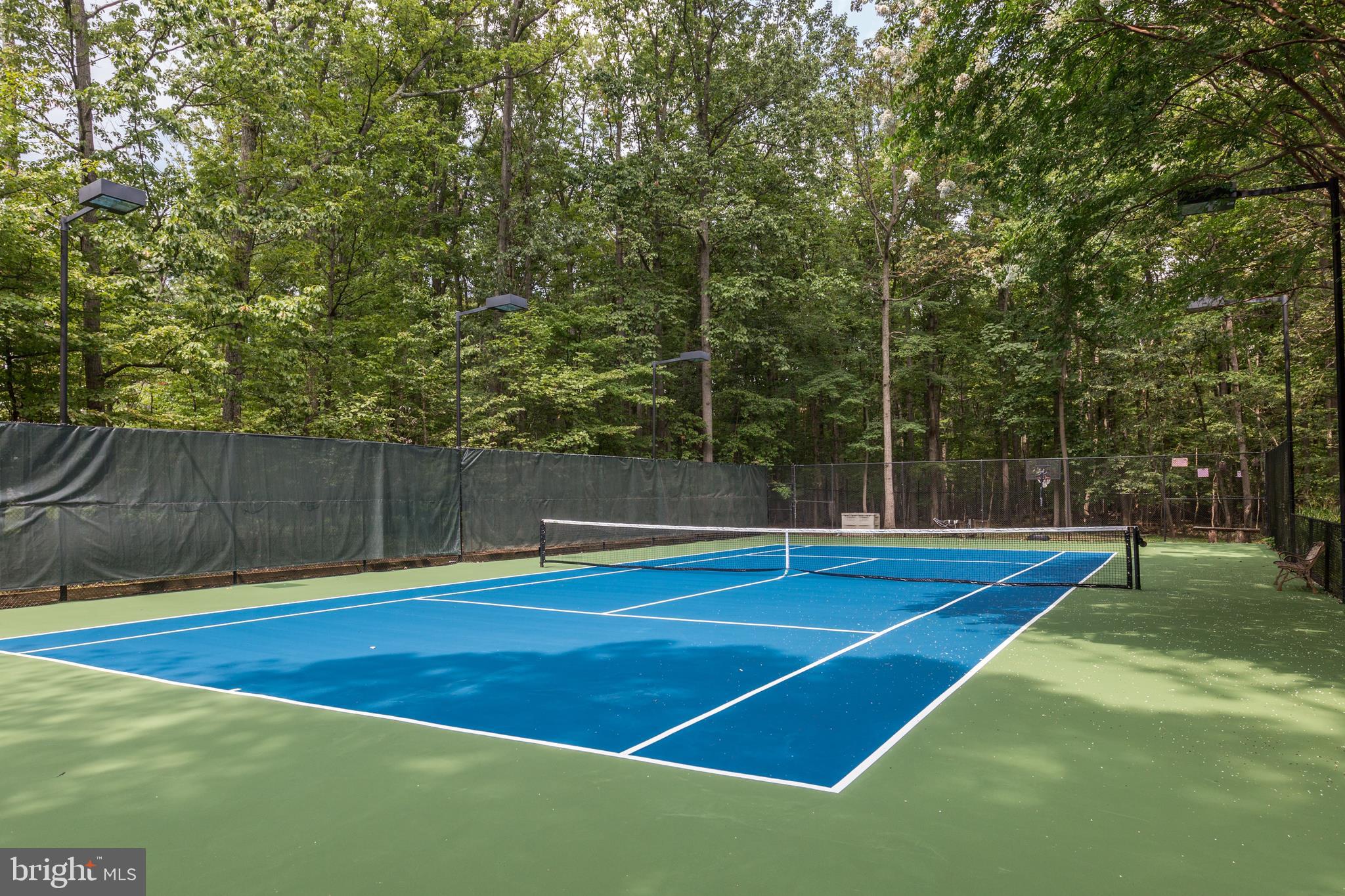 724 Clear Spring Road Great Falls, VA 22066 - Photo 53 of 57 Perhaps Rafa or Roger will meet you here