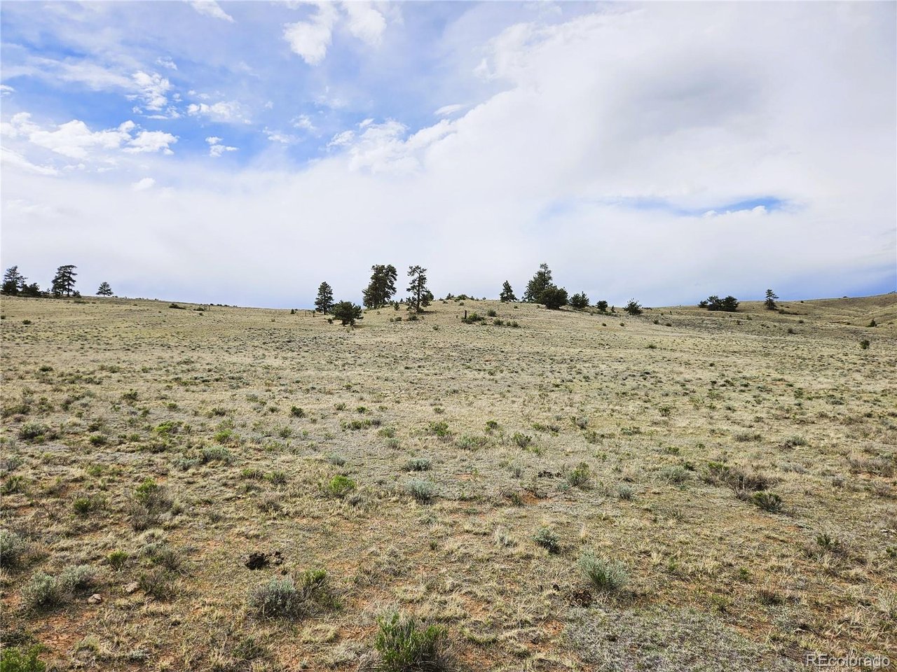 24131 Chato Road Hartsel, CO 80449 - Photo 25 of 28