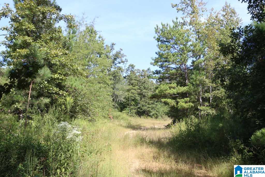 Sprayberry Road, Unit 103 Cropwell, AL 35054 - Photo 30 of 48