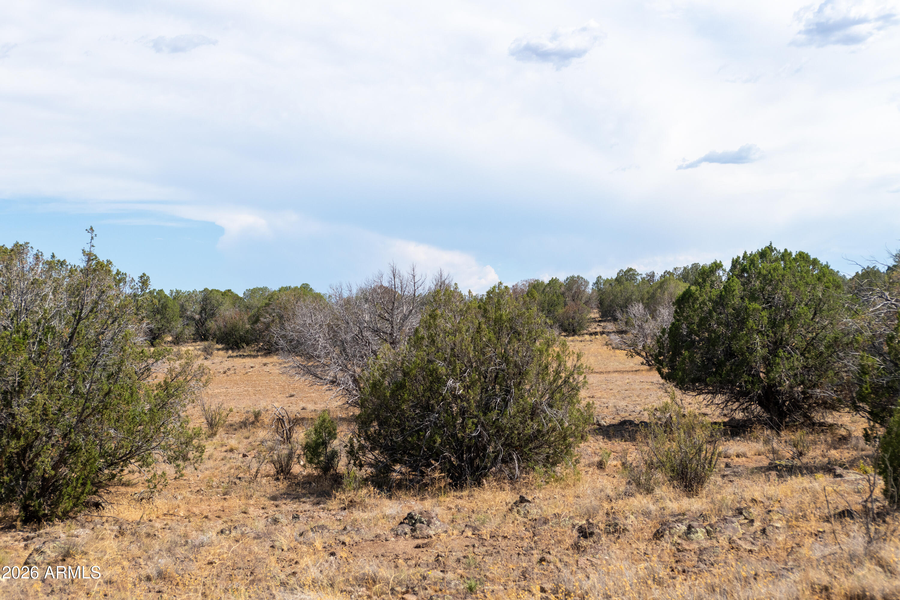 2.13-acres North Headwaters Road, Unit 7 Paulden, AZ 86334 - Photo 3 of 17 a view of a dry yard with lots of trees