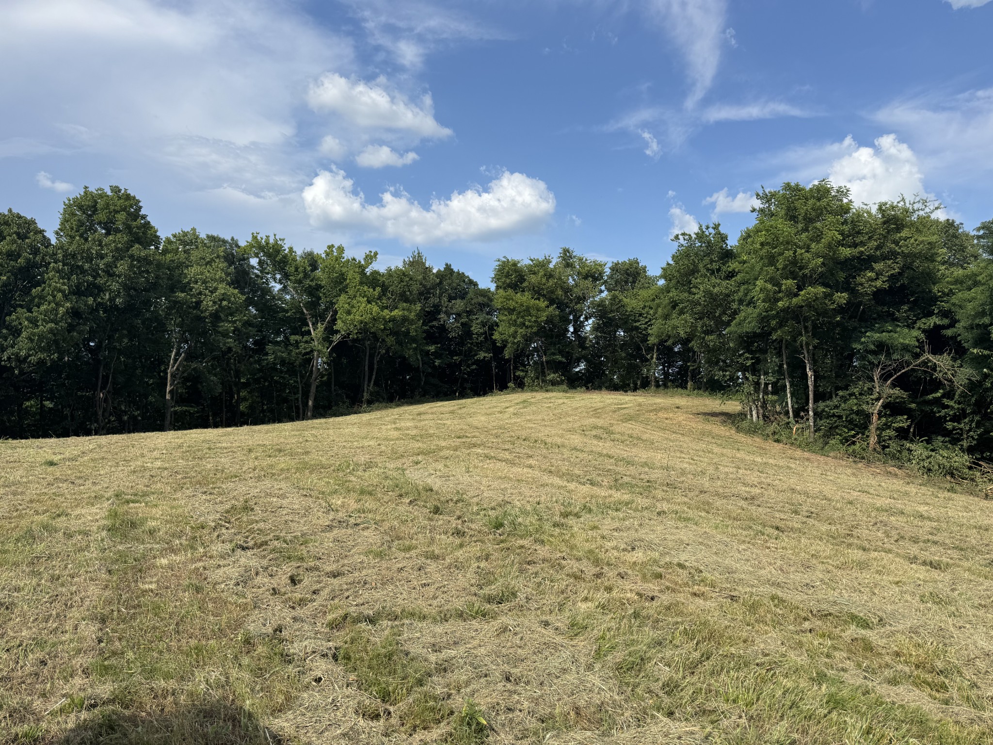 0 Sorrells Road Petersburg, TN 37144 - Photo 32 of 44 Gallery Image 32