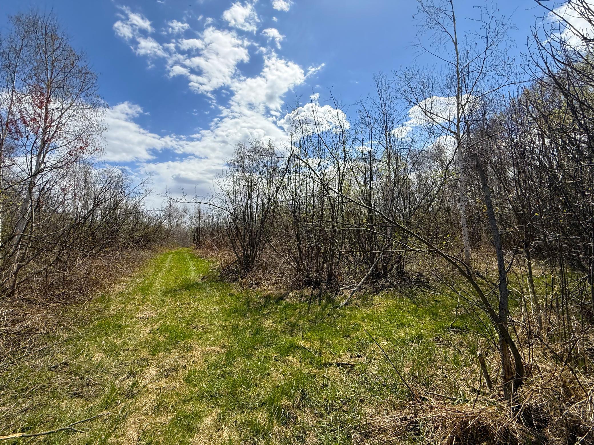 Xxx McGrew Road Isle, MN 56342 - Photo 19 of 92
