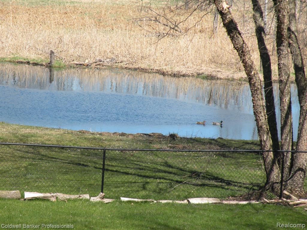 6253 7 Mile Road South Lyon, MI 48178 - Photo 60 of 72 Gallery Image 60
